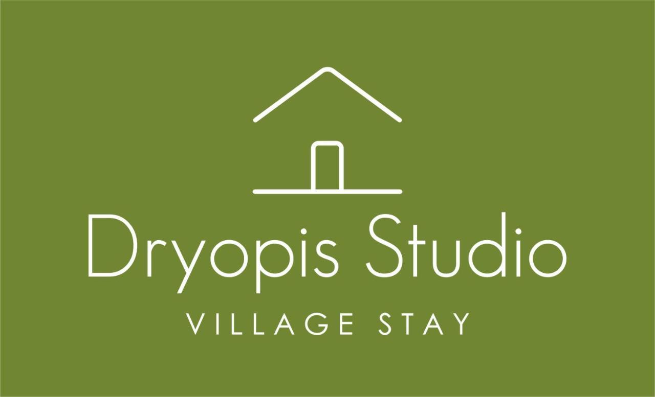 Dryopis Studio Dhriopis Exterior photo